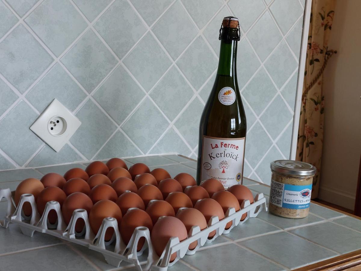 Ty Ann Maison Avec Jardin Clos De Mur, A Proximite Des Commerces Et A 3Km Des Plages Penvénan Kültér fotó